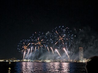 fireworks over the river