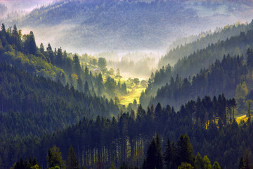 wonderful autumn scene in mountains, autumn morning dawn, spectacular nature background, Carpathians, Ukraine, Europe