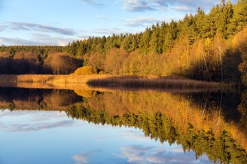 Obraz premium autumn view of pond with autumn forest landscape