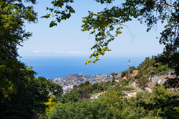 The Area of Monte, above Funchal, Madeira