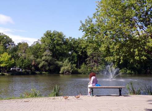 Summer landscape with trees and lake