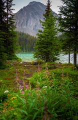 Chester Lake - Kananaskis Alberta Canada