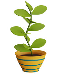 3d house pot plant on isolated transparent background