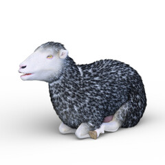 ヒツジ　3DCGレンダリング