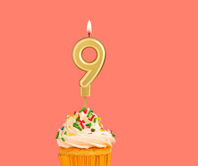 Birthday candle and cupcake - Number 9