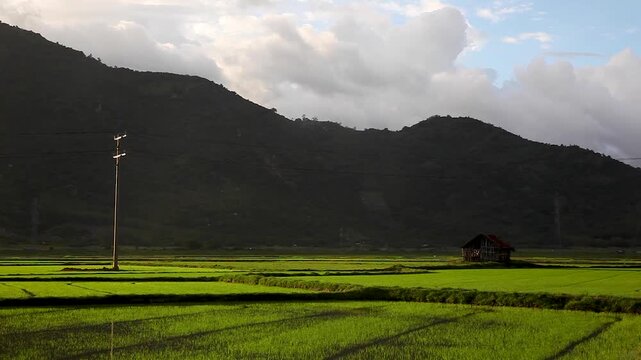 Rice fields and mountains in the Nha Trang region, Vietnam, Asia