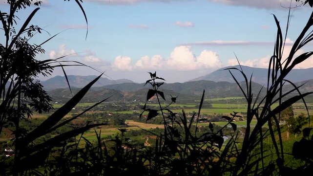 Tropical plants and landscape with mountains and rice paddies, Central Highlands, South Vietnam, Vietnam, Asia
