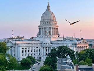 Wisconsin State Capitol at dusk with a bird