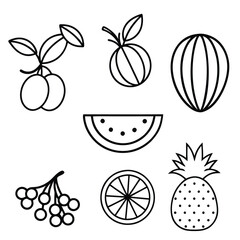 Fruits vector art and grocery food illustration. line art fruits