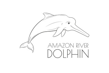 Illustration of a Animal - Amazon River Dolphin, Mammalia
