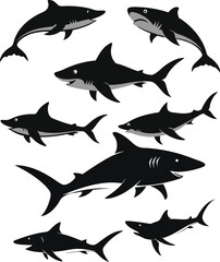 set of sharks in different poses silhouette, vector 