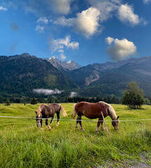 Obraz premium Hindelang im Allgäu
