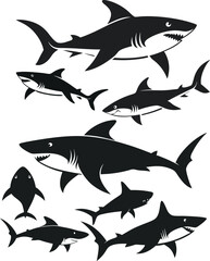 set of sharks in different poses silhouette, vector 