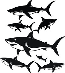 set of sharks in different poses silhouette, vector 