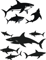 set of sharks in different poses silhouette, vector 