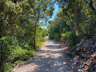 Obraz premium Island of Badija in Korcula Archipelago, Croatia