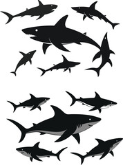 set of sharks in different poses silhouette, vector 