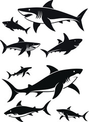 set of sharks in different poses silhouette, vector 