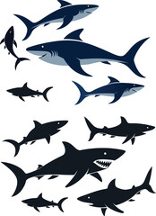 set of sharks in different poses silhouette, vector 