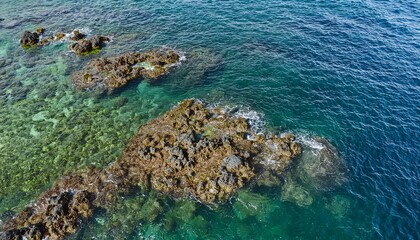 displays coral reef rocks on the edge of the ocean. generative ai