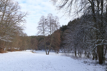 Winter landscape with pond (Eisweiher Pond in Pirmasens, Germany)