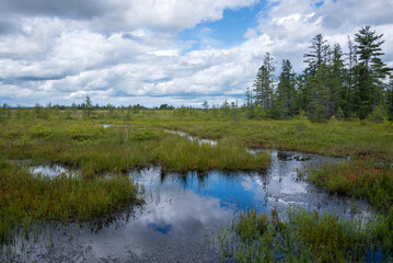 Saint-Narcisse peat bog natural park (Saint-Narcisse, Quebec, Canada)
