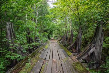 Fototapeta premium Remains of the wooden penstock from the former Saint-Alban hydroelectric power station in the Portneuf Regional Natural Park (Saint-Alban, Quebec, Canada)