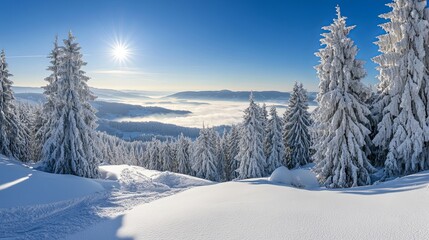 Breathtaking Landscape Photography of a Snowy Mountain Top with a Sea of Clouds, Captured with a Super Wideangle Lens for Super Clear, High Quality Clarity