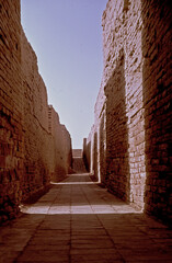 Moenjodaro streets were built to a precise grid.  The streets were designed to provide a shaded walk for the residents.