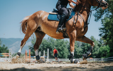 Close-up of a horseback rider in action, showcasing the horse's powerful movement during an...