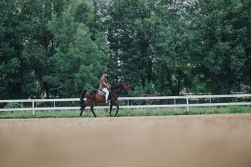 A man riding a horse at an equestrian center during a training session, emphasizing outdoor activity and equestrian sport on a sunny day.