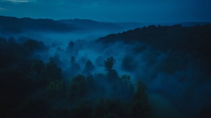 Mysterious Aerial Night Photography of a Lush Forest Shrouded in Mist