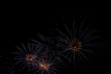 Obraz premium fireworks in the sky