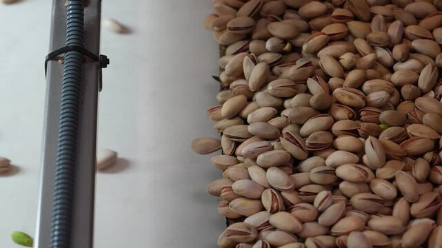 Pistachios Packaged in the Factory Video, Siirt Turkiye (Turkey)