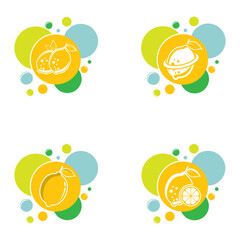 Lemon logo template vector icon design