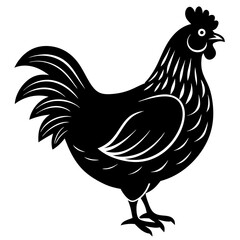 hen and chicken isolated on white, chicken vector illustration, pet vector art, Chicken silhouette, animal vector icon, rooster line art,eps