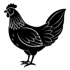 hen and chicken isolated on white, chicken vector illustration, pet vector art, Chicken silhouette, animal vector icon, rooster line art,eps