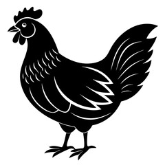 hen and chicken isolated on white, chicken vector illustration, pet vector art, Chicken silhouette, animal vector icon, rooster line art,eps