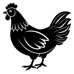 hen and chicken isolated on white, chicken vector illustration, pet vector art, Chicken silhouette, animal vector icon, rooster line art,eps