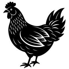 hen and chicken isolated on white, chicken vector illustration, pet vector art, Chicken silhouette, animal vector icon, rooster line art,eps