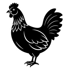 hen and chicken isolated on white, chicken vector illustration, pet vector art, Chicken silhouette, animal vector icon, rooster line art,eps