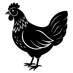 hen and chicken isolated on white, chicken vector illustration, pet vector art, Chicken silhouette, animal vector icon, rooster line art,eps