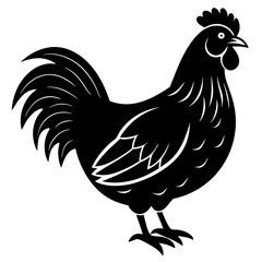 hen and chicken isolated on white, chicken vector illustration, pet vector art, Chicken silhouette, animal vector icon, rooster line art,eps