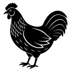 hen and chicken isolated on white, chicken vector illustration, pet vector art, Chicken silhouette, animal vector icon, rooster line art,eps