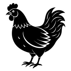 hen and chicken isolated on white, chicken vector illustration, pet vector art, Chicken silhouette, animal vector icon, rooster line art,eps