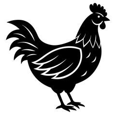hen and chicken isolated on white, chicken vector illustration, pet vector art, Chicken silhouette, animal vector icon, rooster line art,eps