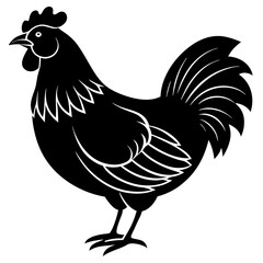 hen and chicken isolated on white, chicken vector illustration, pet vector art, Chicken silhouette, animal vector icon, rooster line art,eps
