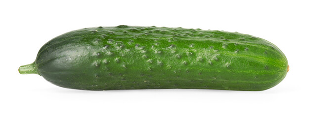 One fresh green cucumber isolated on white