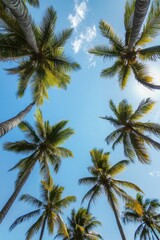 Tropical low-angle shot of palm trees against a clear blue sky, capturing the serene and relaxing vibes of a sunny day in paradise.