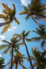 Tropical low-angle shot of palm trees against a clear blue sky, capturing the serene and relaxing vibes of a sunny day in paradise.